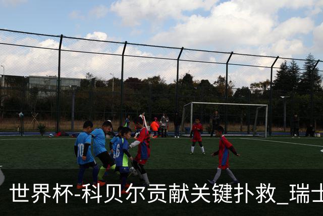 世界杯-科贝尔贡献关键扑救 瑞士半场0-0闷平哥伦比亚
