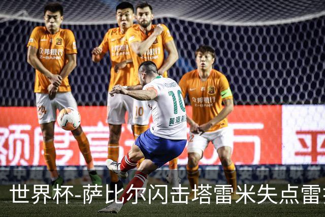 世界杯-萨比尔闪击塔雷米失点雷扎伊扬扳平 半场埃及1-1伊朗