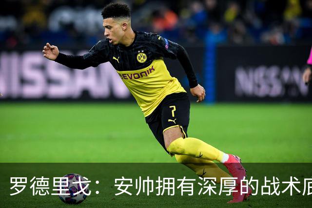 罗德里戈：安帅拥有深厚的战术底蕴，以及擅长调和队内氛围的能力